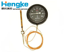 WTZ/WTQ 壓力式溫度計(jì) 多種規(guī)格定制 專業(yè)溫度測(cè)量