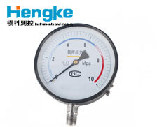 YA系列壓力表 多規格定制 專業壓力測量