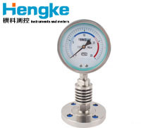 YPF系列隔膜壓力表 膜片 多規格定制 專業壓力測量